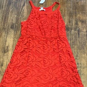 The Loft Size Small Petite Dress. New with tags